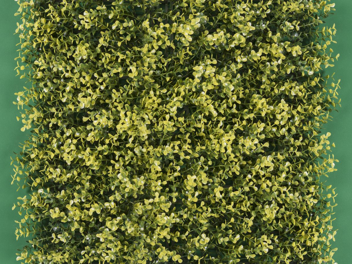 Arrayan Verde — EUROPISOS- europisos